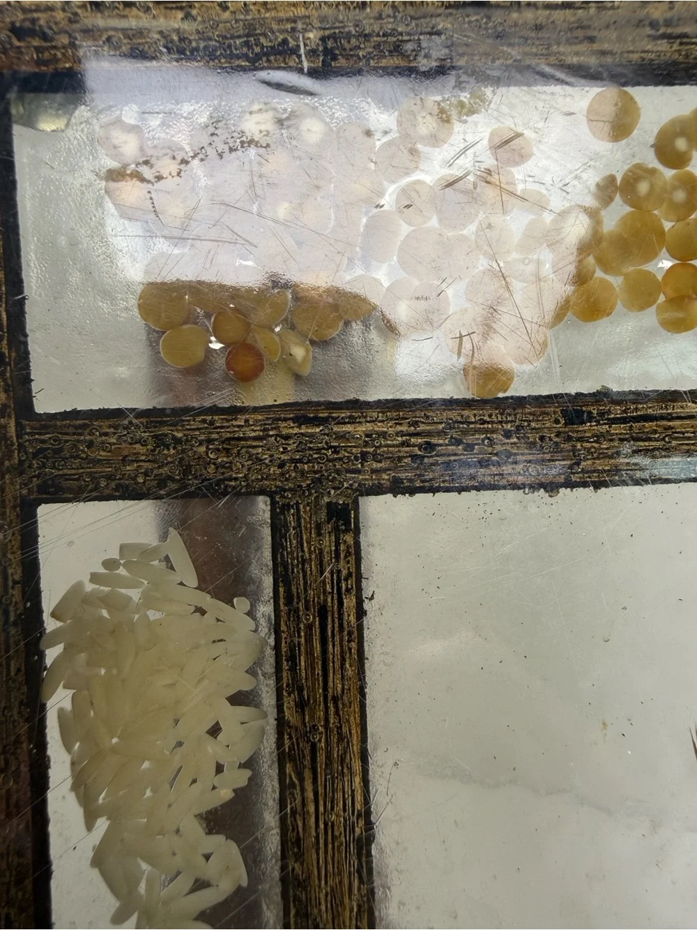 Botanical Glass Panel Wall Decor in Amber and Cream